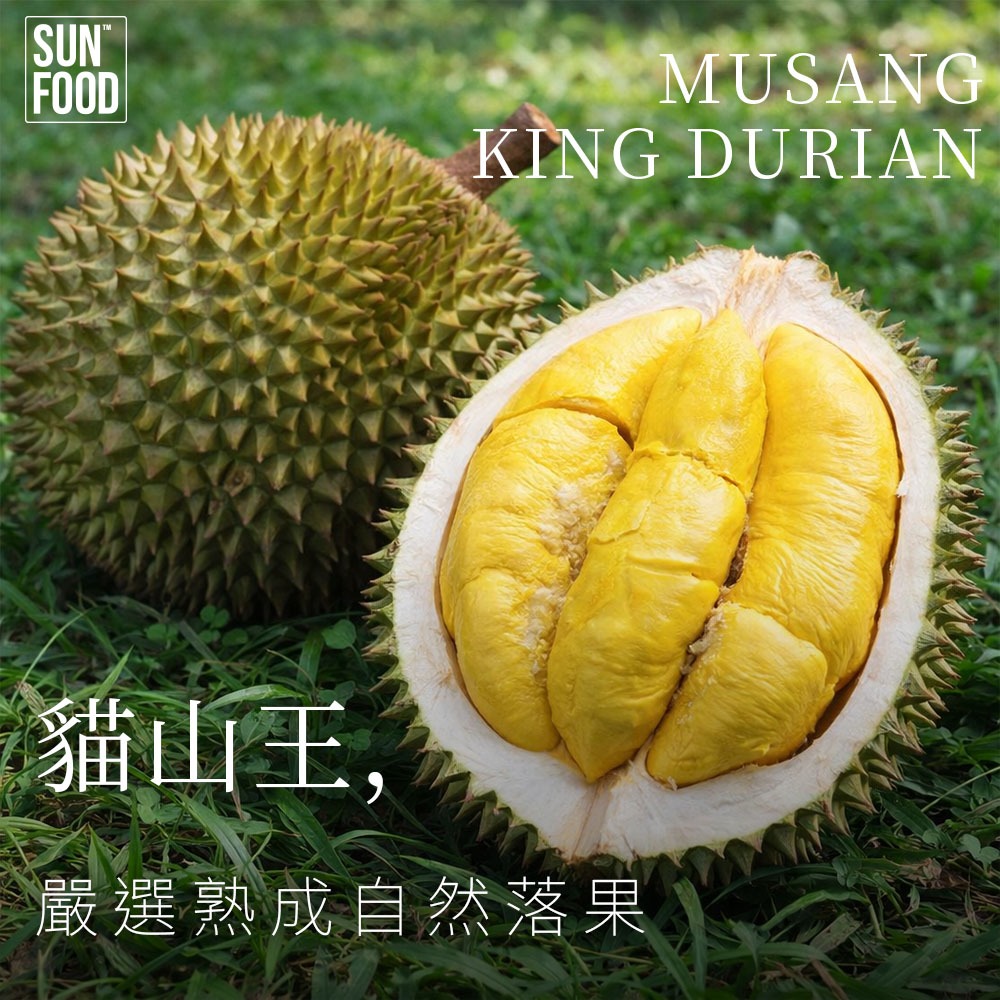 馬來西亞 榴槤 得獎冠軍貓山王-細節圖2