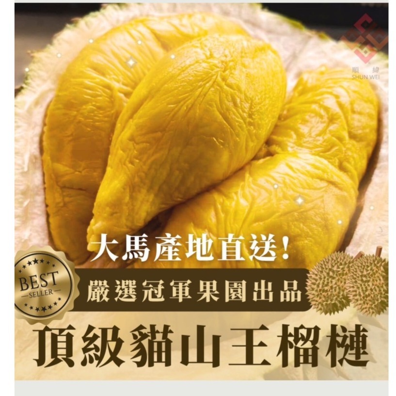 馬來西亞 榴槤 得獎冠軍貓山王-細節圖3