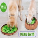 【星寶貝】PET_03 寵物健康慢食墊/慢食碗-規格圖1