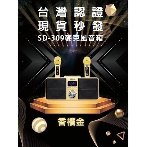 藍芽K歌音箱 K歌神器無線雙人伴唱（贈防噴套）-細節圖3