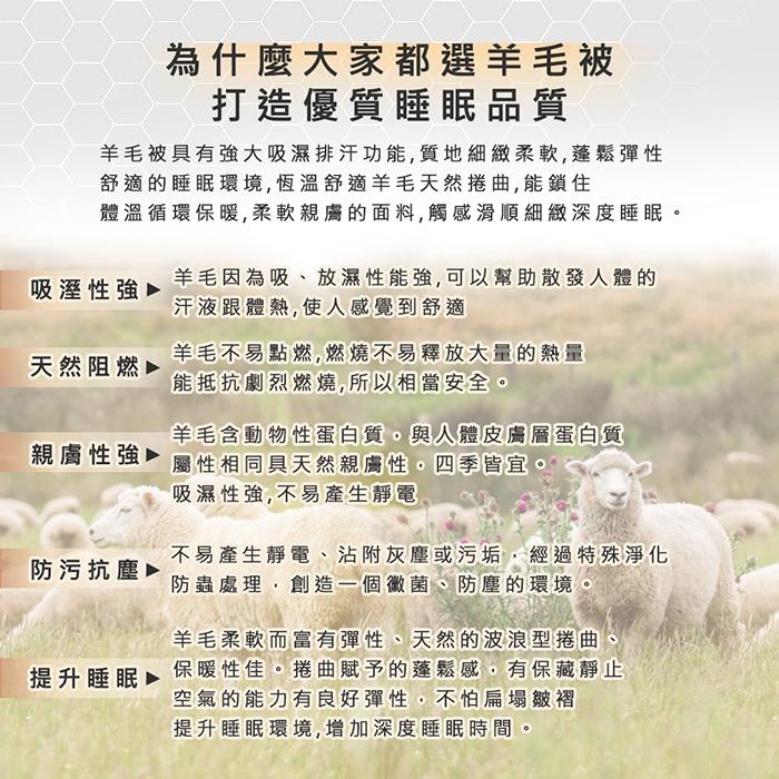 現貨 快速出貨｜ 石墨烯羊毛被 棉被 能量被 台灣製 發熱被 棉被 被子 冬被-細節圖4