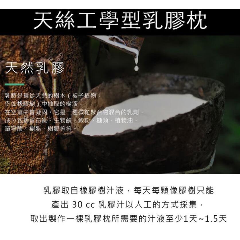 買1送1👉天絲工學型助眠乳膠枕-細節圖2