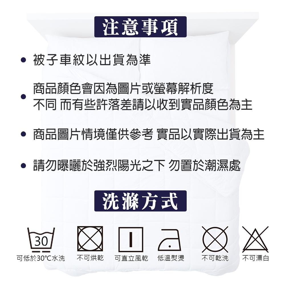 現貨 免運 ｜ 殿堂級 3KG極細手感羽柔被 ｜ 禦寒新品 多色任選 ｜ 棉被 羽柔被-細節圖9