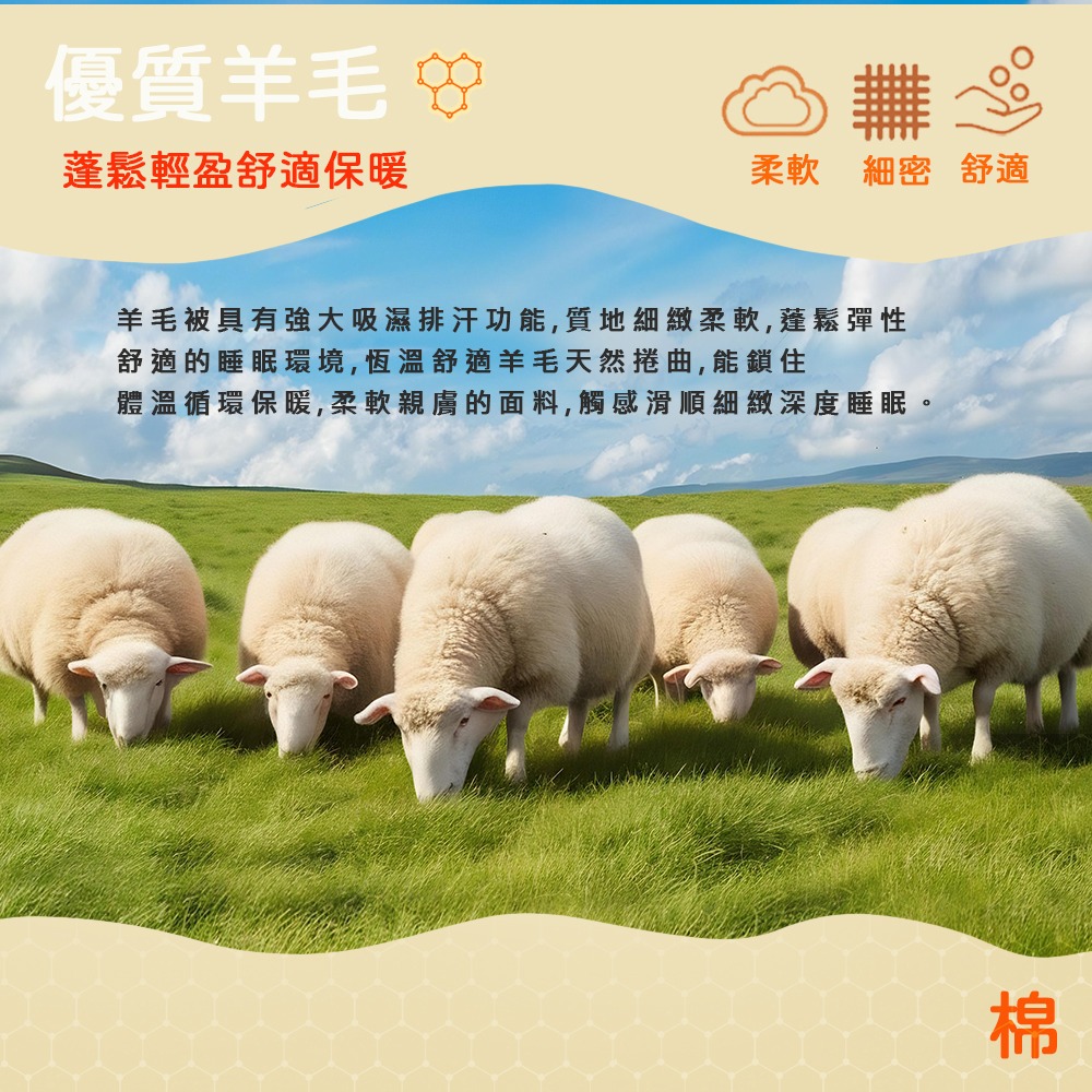 現貨 快速出貨｜ 雙色石墨烯羊毛被 棉被 能量被 台灣製 發熱被 棉被 被子 冬被 可水洗(2KG)-細節圖5