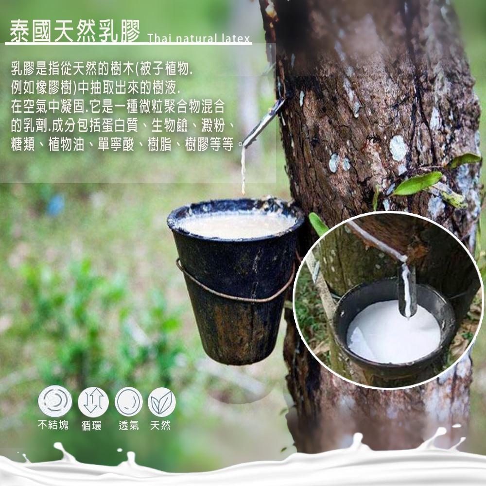 【YCB】 冰絲涼感乳膠涼墊 買涼墊送枕墊 夏日必備 涼墊 枕墊 雙人150*190cm __-現貨-細節圖7