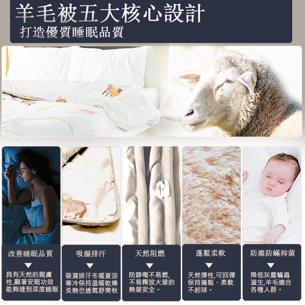 現貨 免運 ｜ 3KG皇家御璽100% 羊毛被 美利諾Merino 吸濕透氣 恆溫保暖 6x7尺 180x210cm-細節圖7