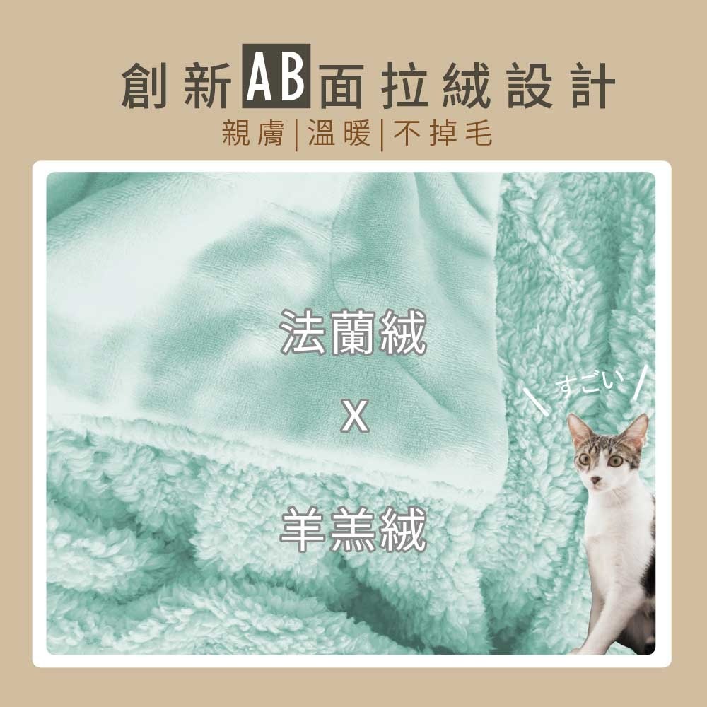 現貨 快速出貨 ｜ 超柔軟羊羔絨X法蘭絨親膚毯被 加厚款 150X200cm 摸貓式手感 毯被 毯子 被子-細節圖2