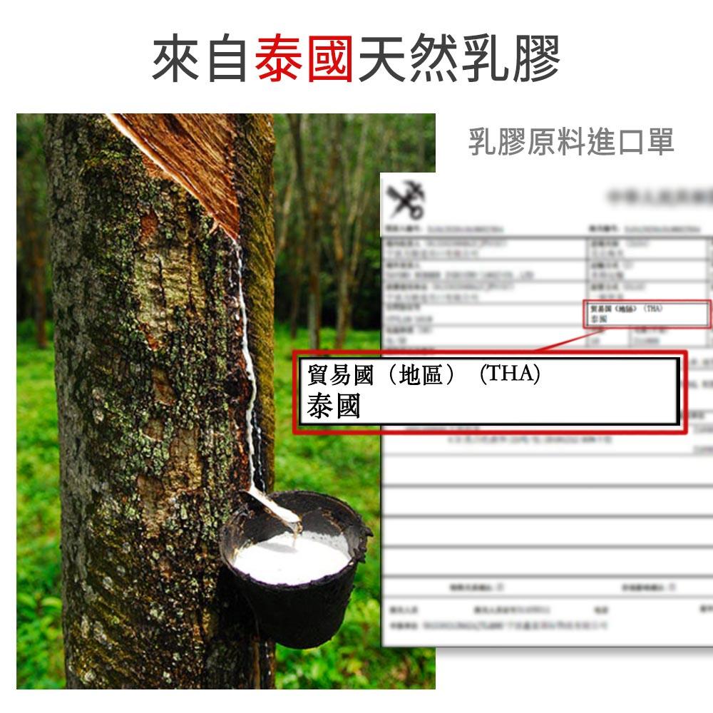 現貨 快速出貨 ｜ YCB 5cm頂級天然乳膠床墊 單人3尺 雙人5尺 加大6尺 泰國進口乳膠 天然橡樹乳汁 乳膠床墊-細節圖5