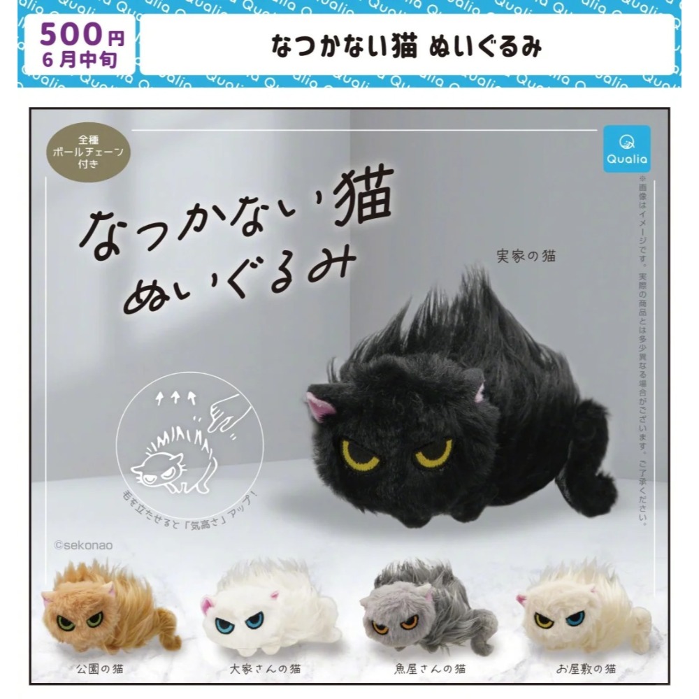 Qualia扭蛋不友善的貓/炸毛貓貓/凶巴巴的貓（房東的貓/白貓）-細節圖2