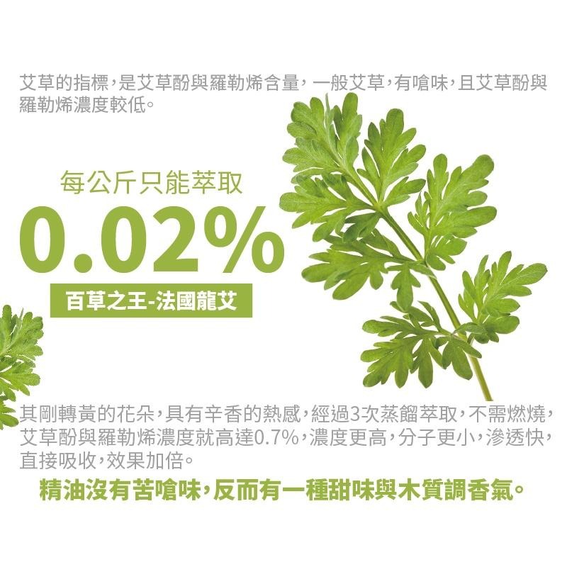 【吉妮雜貨】天使光 疏通活絡艾灸精油100g-細節圖4