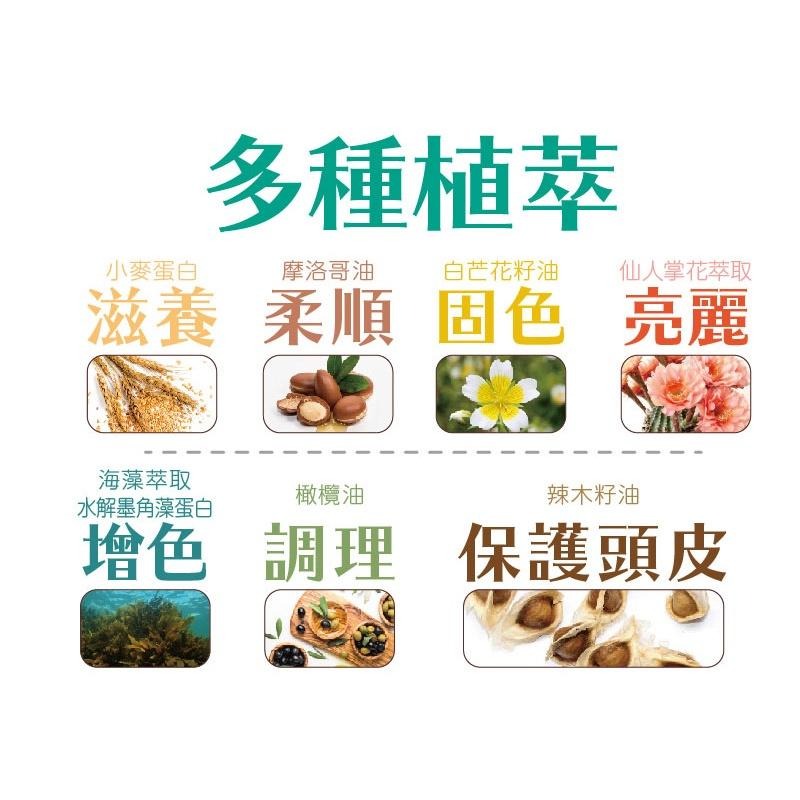 樹飛雪-超好用-髮學院染髮劑-網路爆款熱銷-染髮-細節圖6