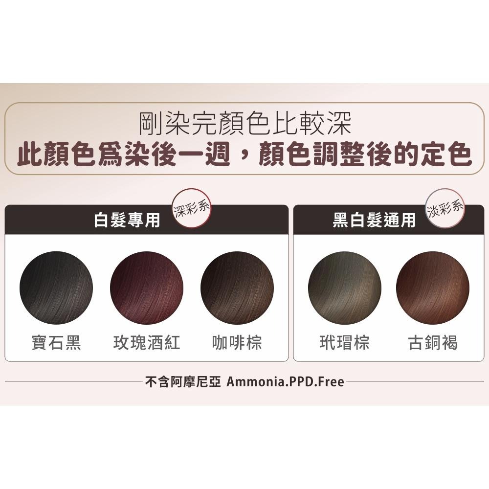 樹飛雪-超好用-髮學院染髮劑-網路爆款熱銷-染髮-細節圖8