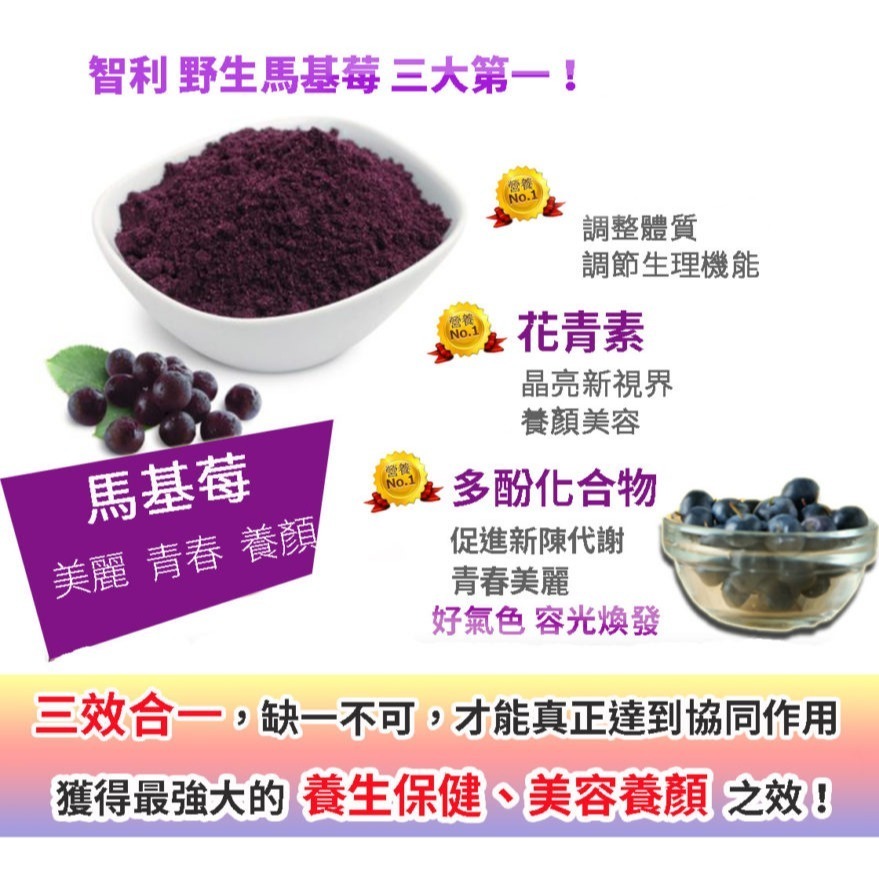 亞積-美之立 100%野生 馬基莓粉 100g/包 智利酒果 莓果之王 滿滿天然花青素 多酚-細節圖8