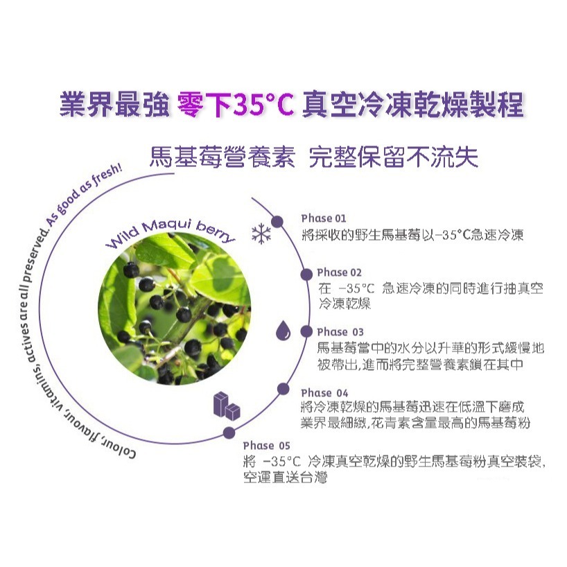亞積-美之立 100%野生 馬基莓粉 100g/包 智利酒果 莓果之王 滿滿天然花青素 多酚-細節圖9