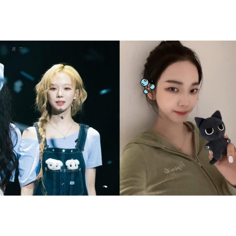 aespa Karina Winter 娃娃  galgyo 咖哩狗 咖喱狗 咖哩貓 趙小嵐 雪人 小球糕 韓站-細節圖9
