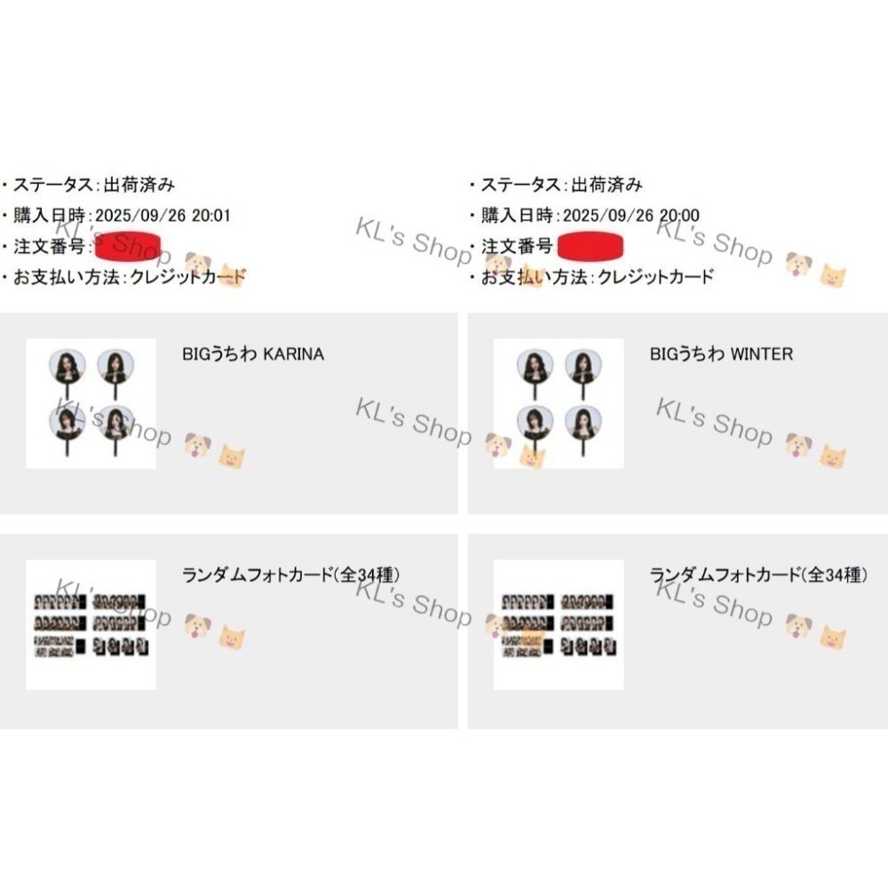 aespa 2025 LIVE TOUR SYNK aeXIS LINE 日本三巡 小卡 大王扇 扇子 印簽 簽名小卡-細節圖9
