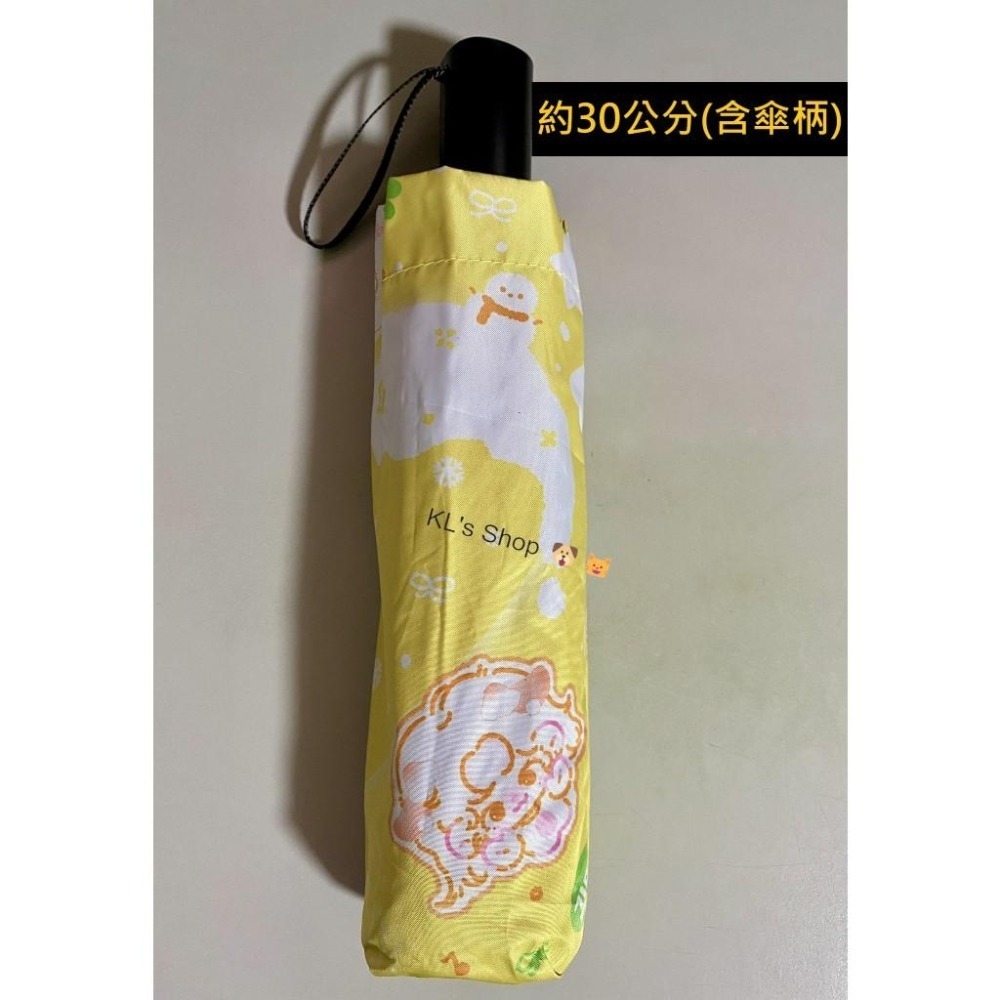 aespa Winter 咖喱狗 旼小鴨 大王扇 護照套 冰壩杯 雨傘 冬隊應援 飯製 咖哩狗 galgyo-細節圖4