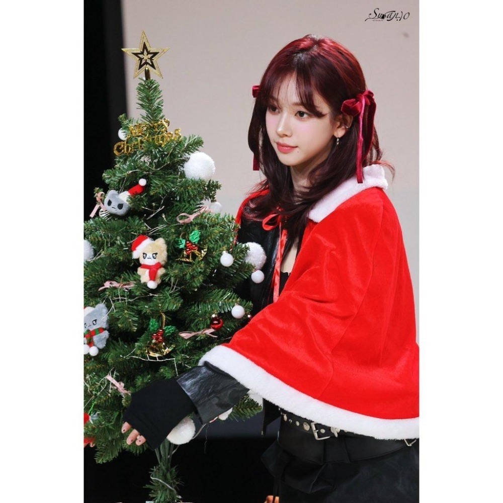 aespa Karina JUST 7cm 小貓 灰貓 起司貓 娃娃 吊飾 玩偶 韓站-細節圖6