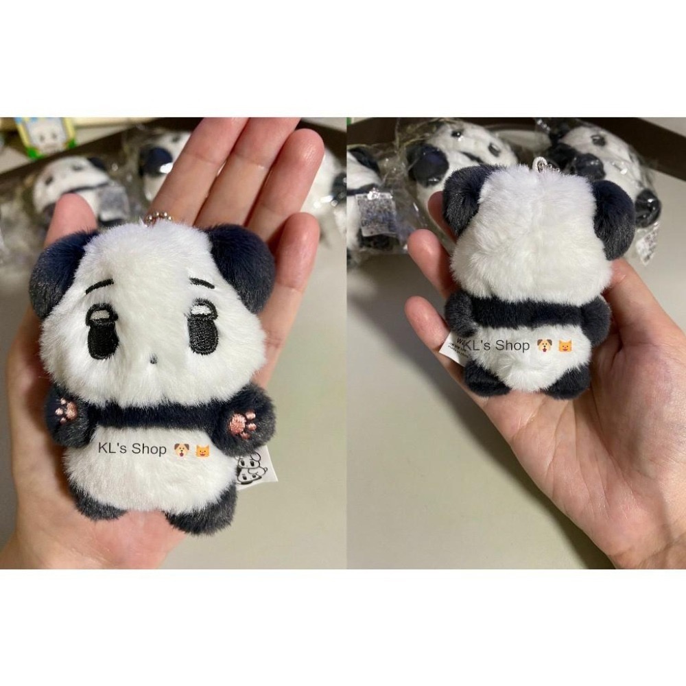 aespa Winter 咖哩熊貓 咖喱熊貓 站姿 坐姿 娃娃 玩偶 10cm galgyo-細節圖4