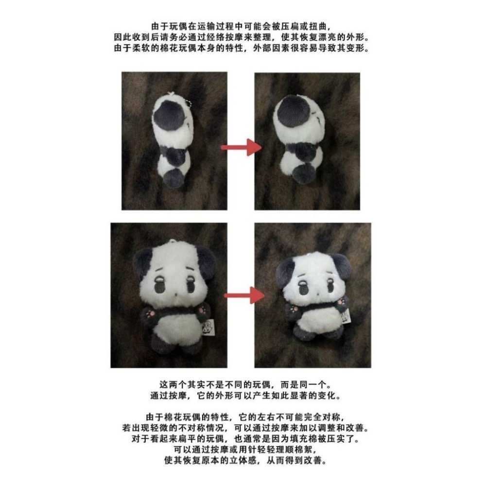 aespa Winter 咖哩熊貓 咖喱熊貓 站姿 坐姿 娃娃 玩偶 10cm galgyo-細節圖5