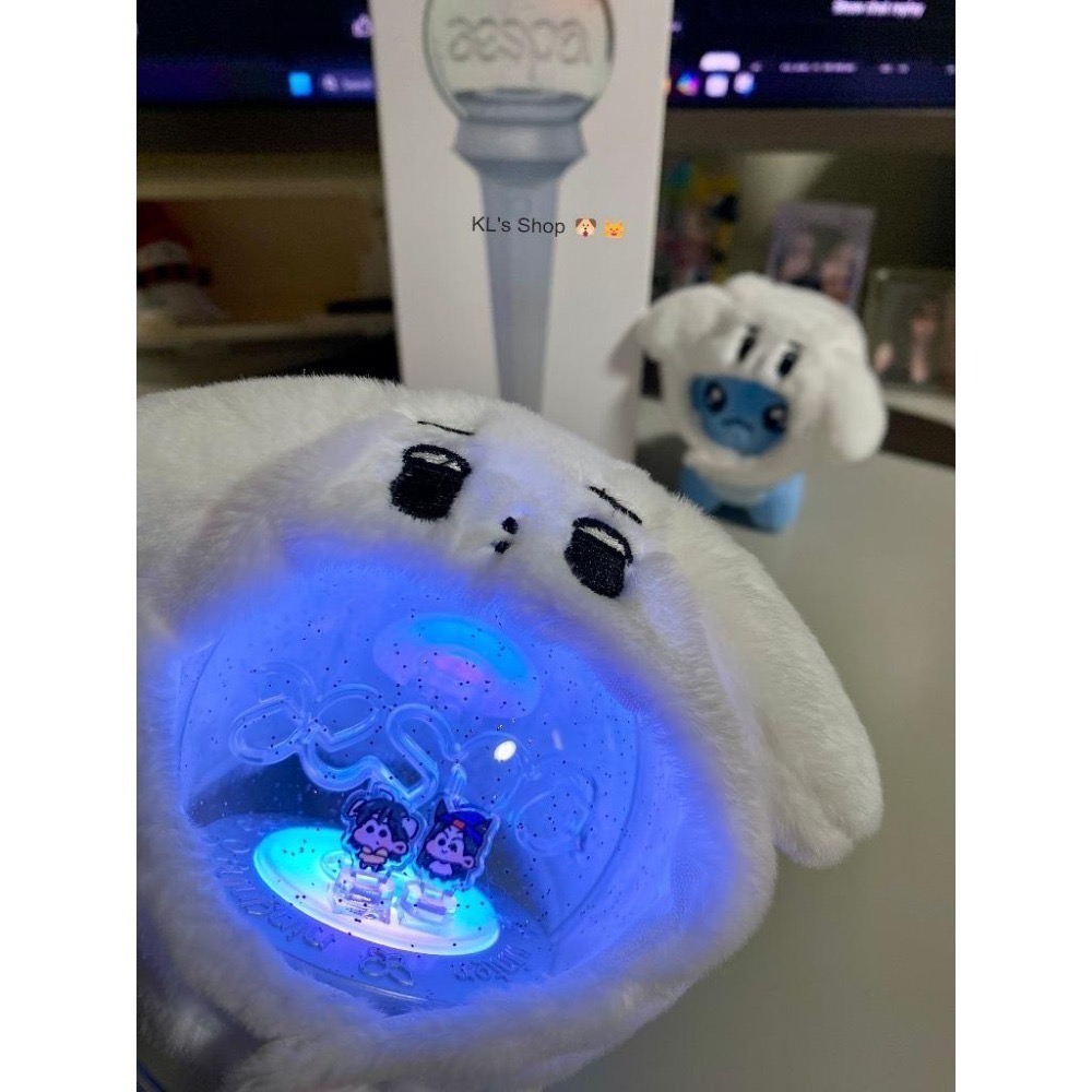 aespa Winter 咖哩狗 咖喱狗 galgyo 娃娃 玩偶 卡套 頭套  20cm10cm 棒球狗 哭哭狗 韓站-細節圖6