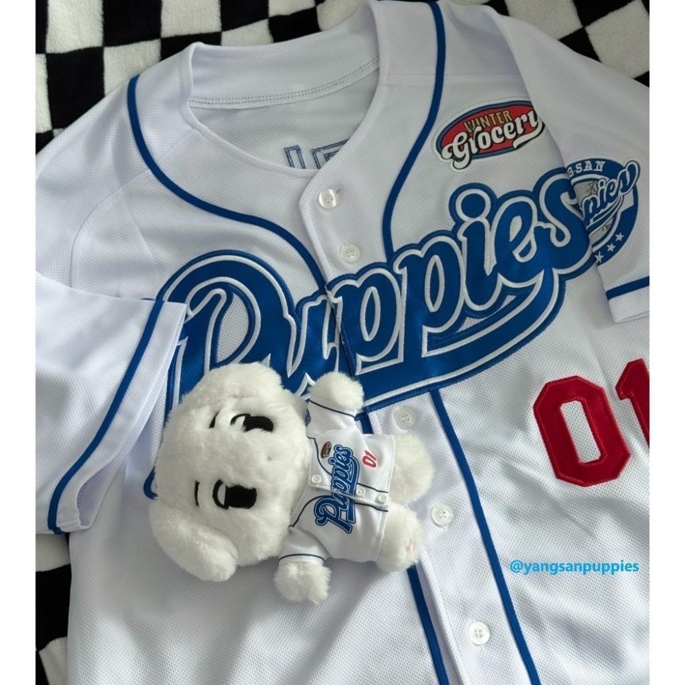 aespa Winter 咖哩狗 咖喱狗 galgyo 娃娃 玩偶 卡套 頭套  20cm10cm 棒球狗 哭哭狗 韓站-細節圖9