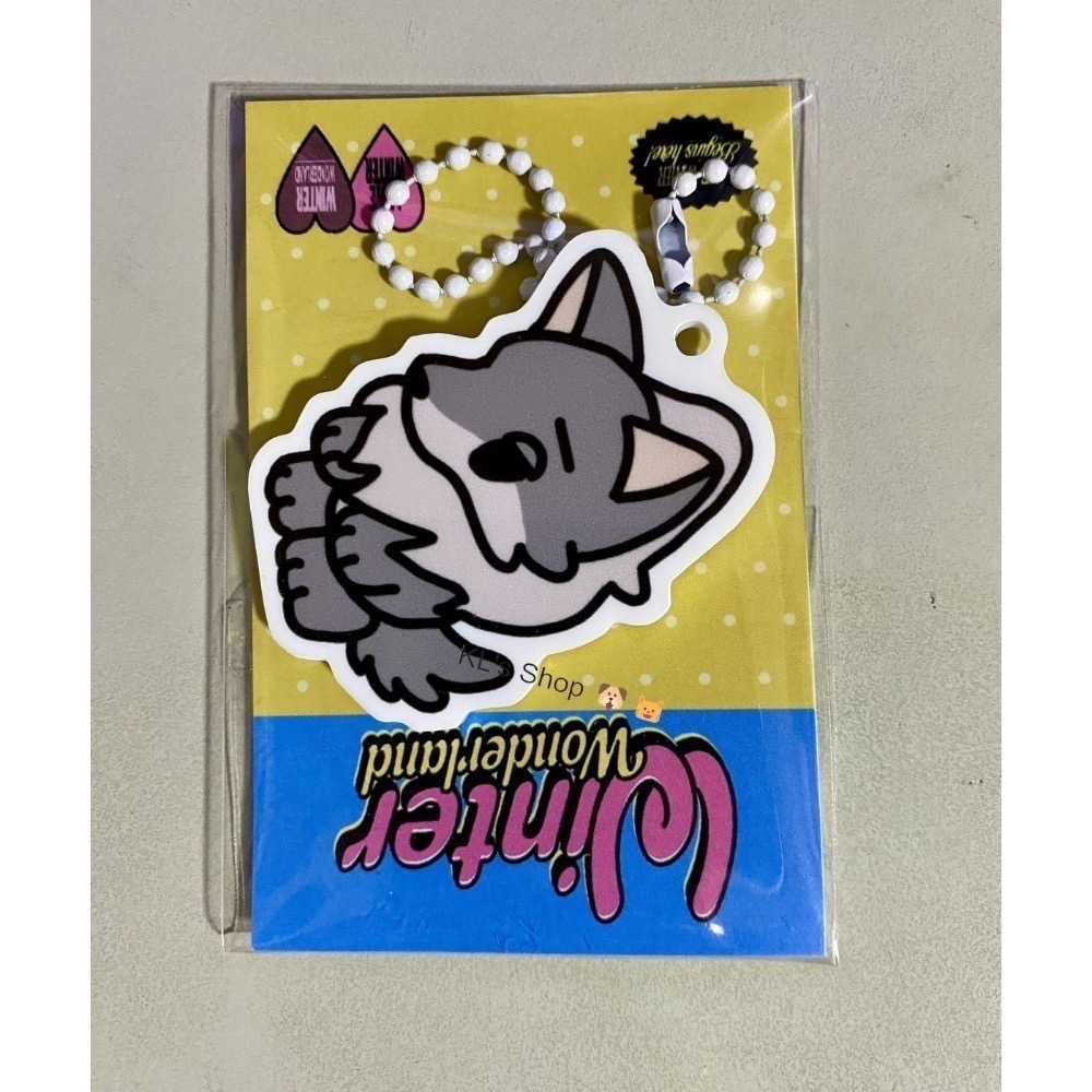 2026 aespa Winter 生咖 galgyo 咖喱狗 旼小鴨 特典 鑰匙圈 貼紙 明信片 小卡 娃娃 環保袋-規格圖10