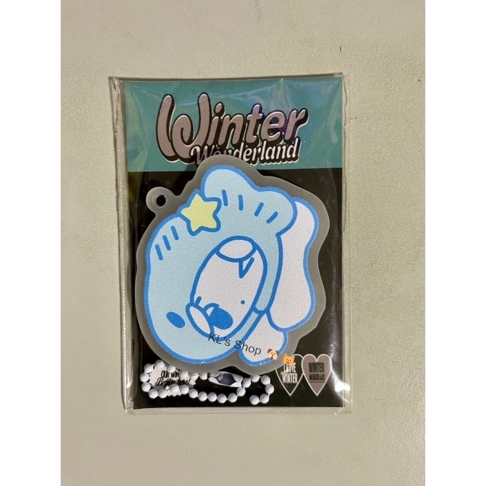 2026 aespa Winter 生咖 galgyo 咖喱狗 旼小鴨 特典 鑰匙圈 貼紙 明信片 小卡 娃娃 環保袋-規格圖10