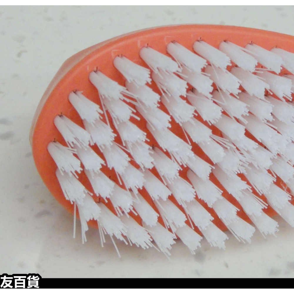 多功能蛋型 清潔刷 清洗刷 浴室刷 磁磚刷 地板刷 洗衣刷 浴廁刷 洗鞋刷 洗潔刷《友百貨》-細節圖3