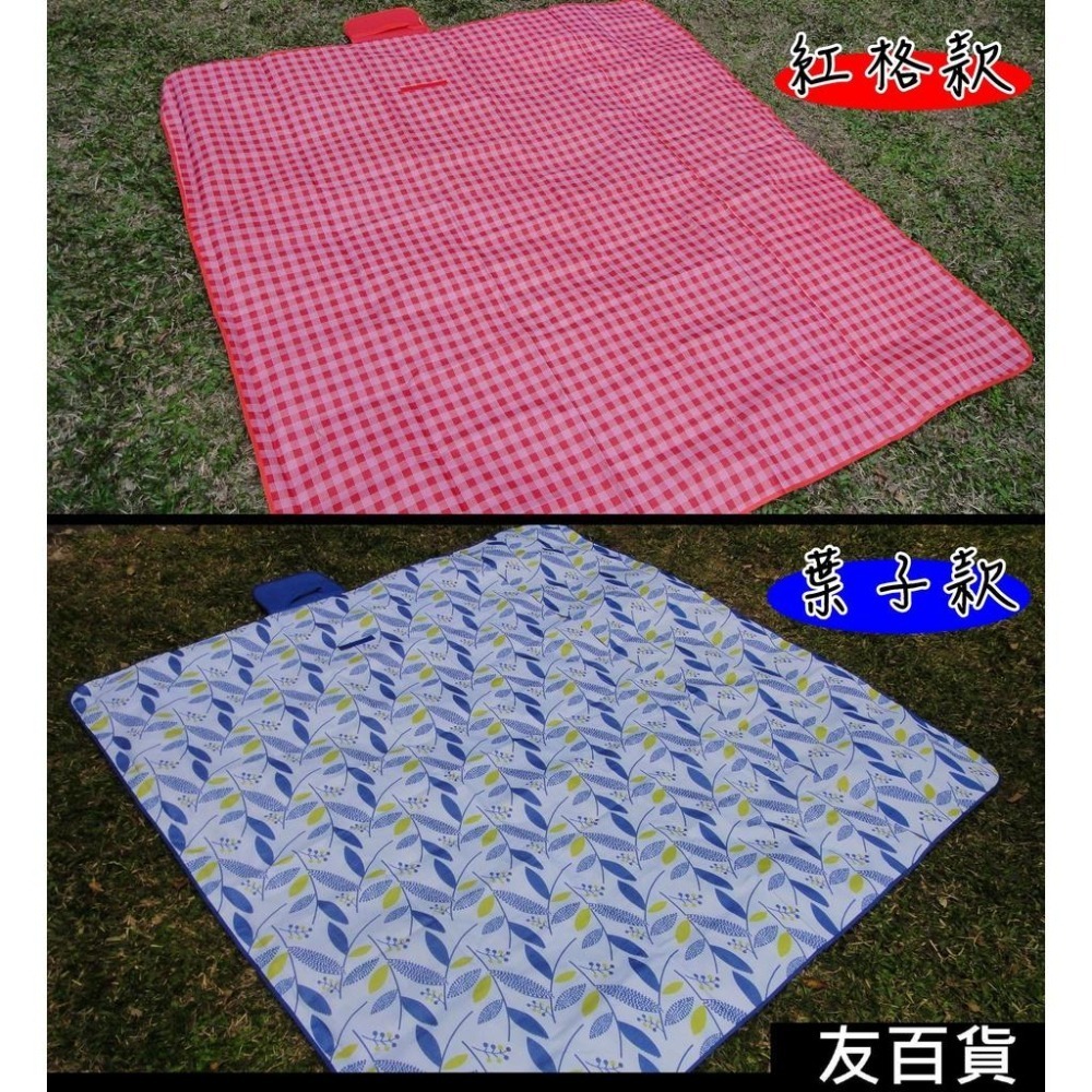 戶外野餐墊 200X195cm 防水野餐墊 露營地墊 沙灘墊 地布《友百貨》-細節圖8