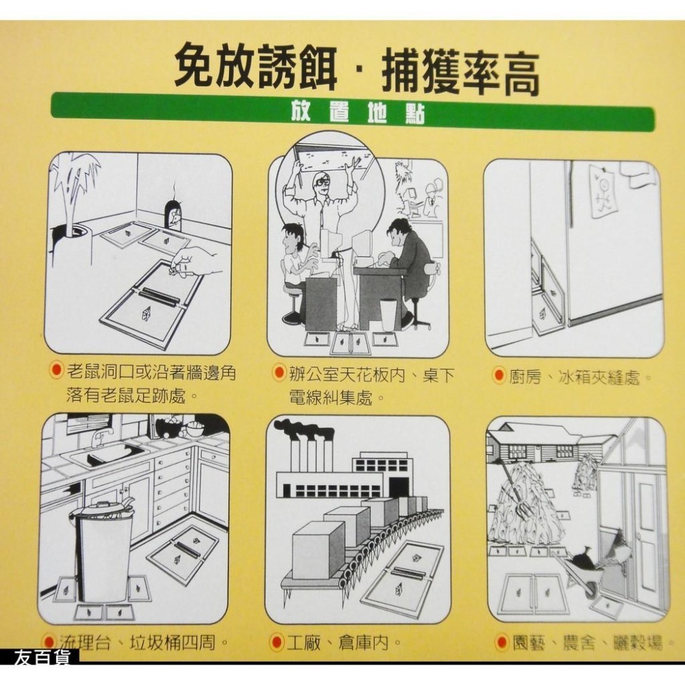 台灣製 黏鼠寶 奶酪香黏鼠板(2片裝) 抓鼠板 抓鼠器 捕鼠器 捕鼠板 黏蠅板《友百貨》-細節圖2
