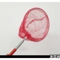 伸縮撈魚網 不鏽鋼捕捉網 5節伸縮 伸縮昆蟲網 捕蝦網 蝴蝶網 捕蟲網 伸縮魚網《友百貨》-規格圖9