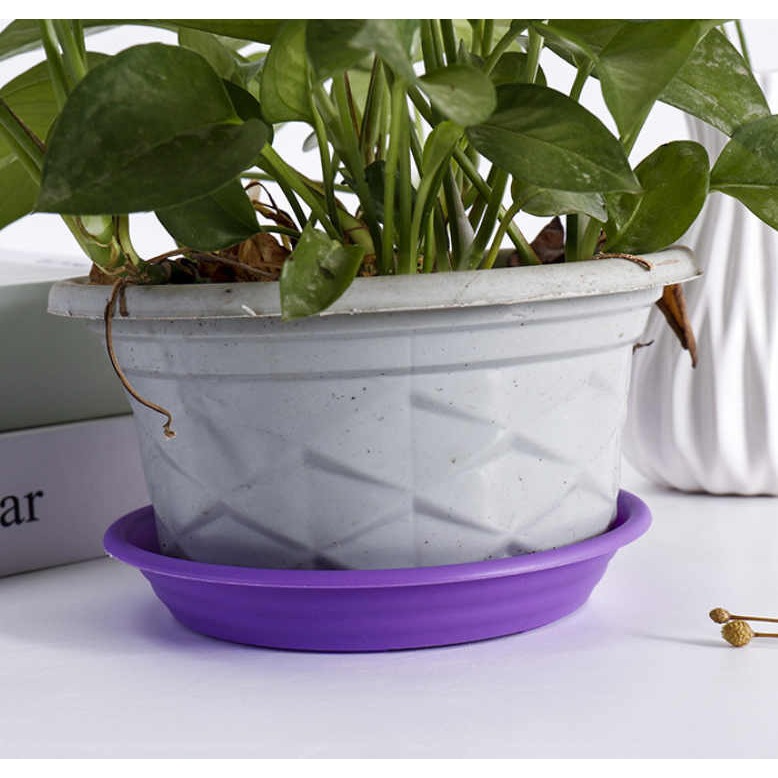 《友百貨》花盆水盤 植栽底盤 園藝托盤 桌面盆栽底盤 圓形接水盤 塑膠花盆底托 園藝用品-細節圖7