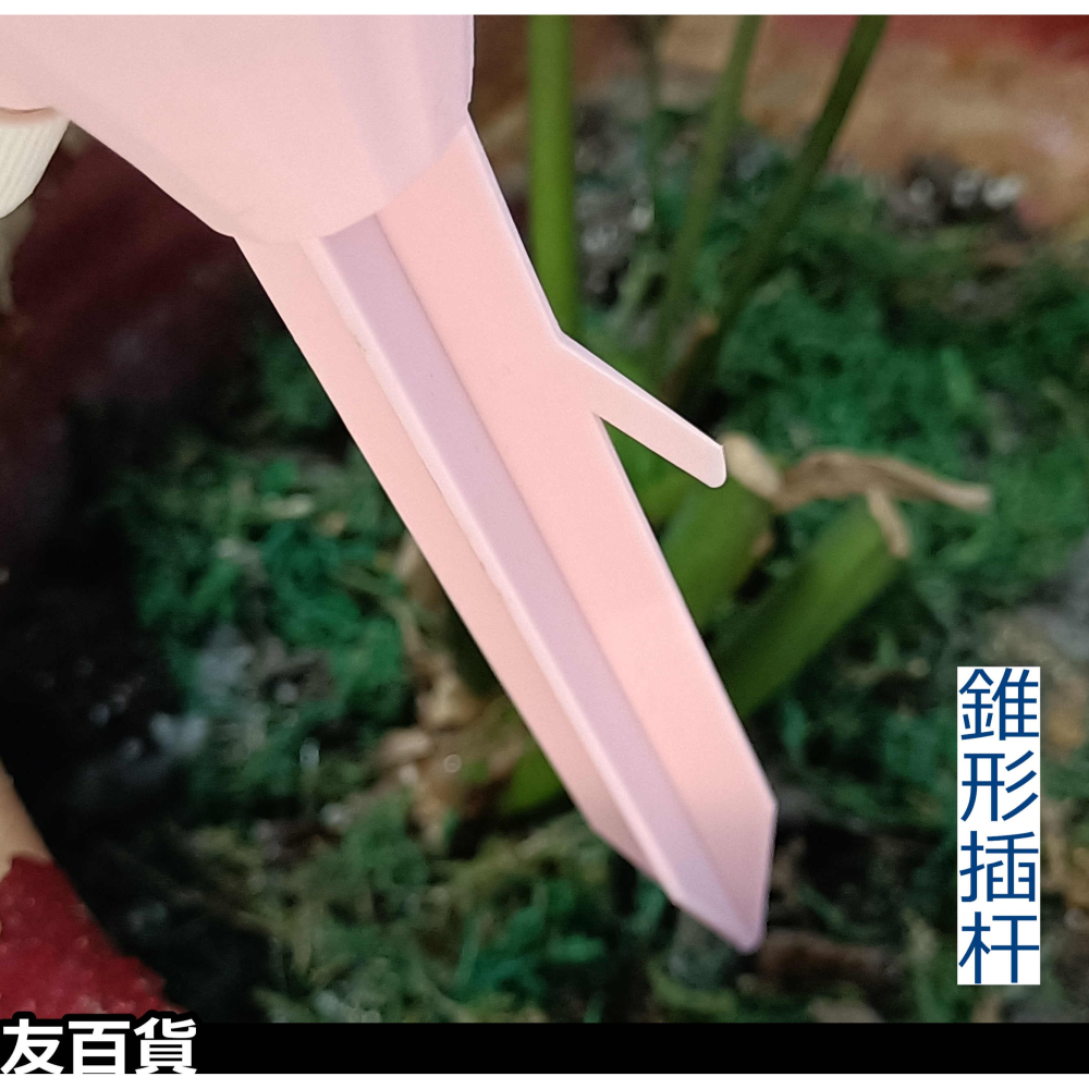 《友百貨》園藝自動滴水器 盆栽澆水器 可調節澆水器 懶人澆花器 園藝滲水器 園藝用品 顏色隨機出貨-細節圖7