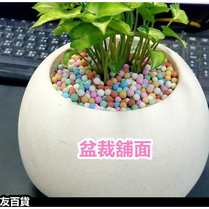 彩色陶粒 園藝陶粒 500g/包 園藝墊底 盆裁舖面 花卉舖面 盆裁陶粒 植栽墊底 園藝用品《友百貨》 3天內出貨-細節圖3