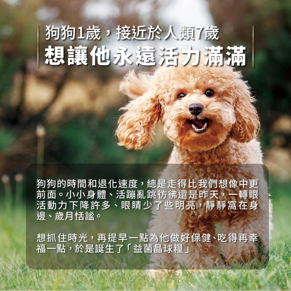 HEROMAMA 犬用 益生菌凍乾晶球糧 飼料 狗糧 狗乾糧 狗飼料 2.2kg/450g 高蛋白-細節圖2