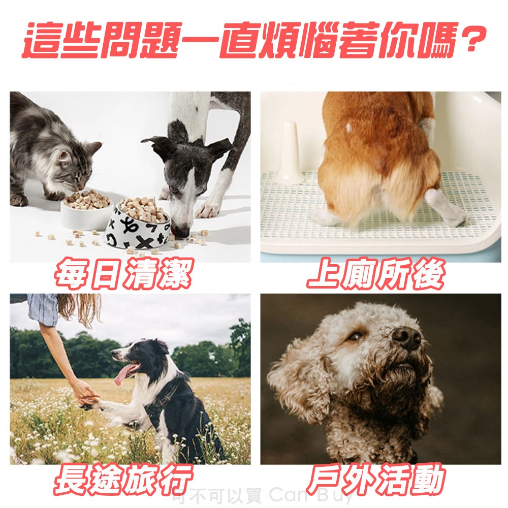 【升級加厚 貓犬可用】寵物濕紙巾 寵物濕巾 狗狗濕紙巾 貓咪濕紙巾 清潔巾 寵物專用濕紙巾 寵物眼部濕巾 寵物耳部濕巾-細節圖2