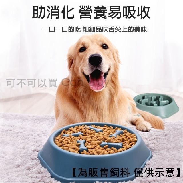 慢食碗 寵物慢食碗 寵物碗 狗碗 防噎碗 狗狗碗 減肥碗 寵物 寵物用品 寵物餐碗 外出碗-細節圖6