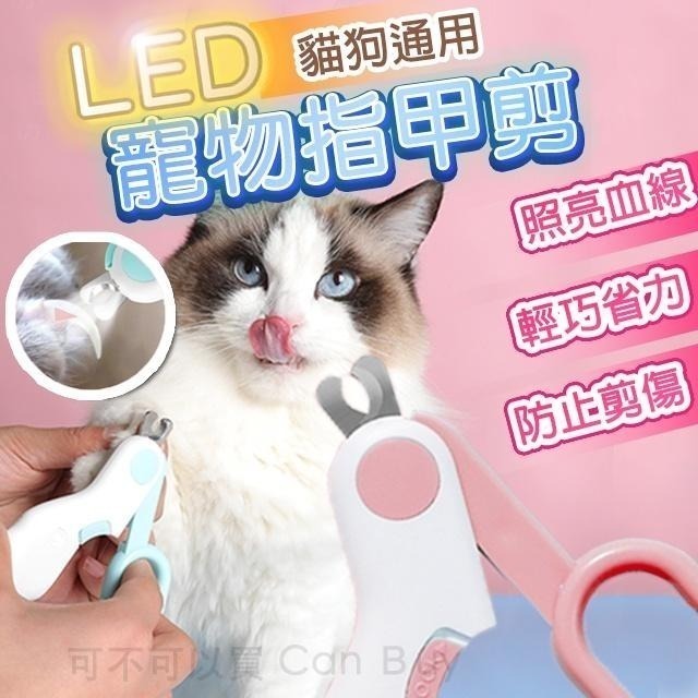 【限時購】寵物指甲剪 貓咪指甲剪 貓指甲剪 狗狗指甲剪 LED發光指甲剪 寵物指甲刀 天竺鼠兔子指甲剪-細節圖2