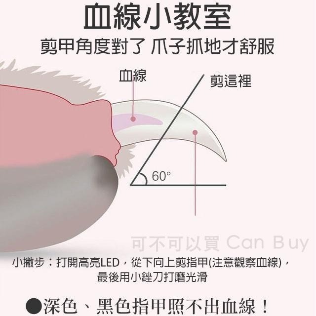 寵物指甲剪 貓咪指甲剪 貓指甲剪 狗狗指甲剪 LED發光指甲剪 寵物指甲刀 天竺鼠兔子指甲剪-細節圖8