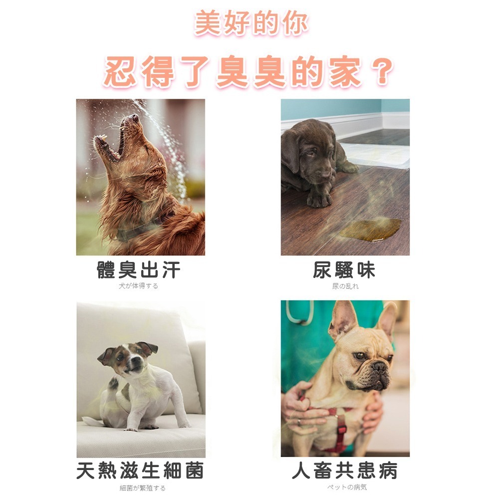 【貓狗適用】寵物除臭噴霧 貓砂除臭 寵物除臭 貓砂除臭噴霧 除臭噴霧 寵物除臭 倉鼠除臭 除臭貓尿 貓砂盆除臭-細節圖2