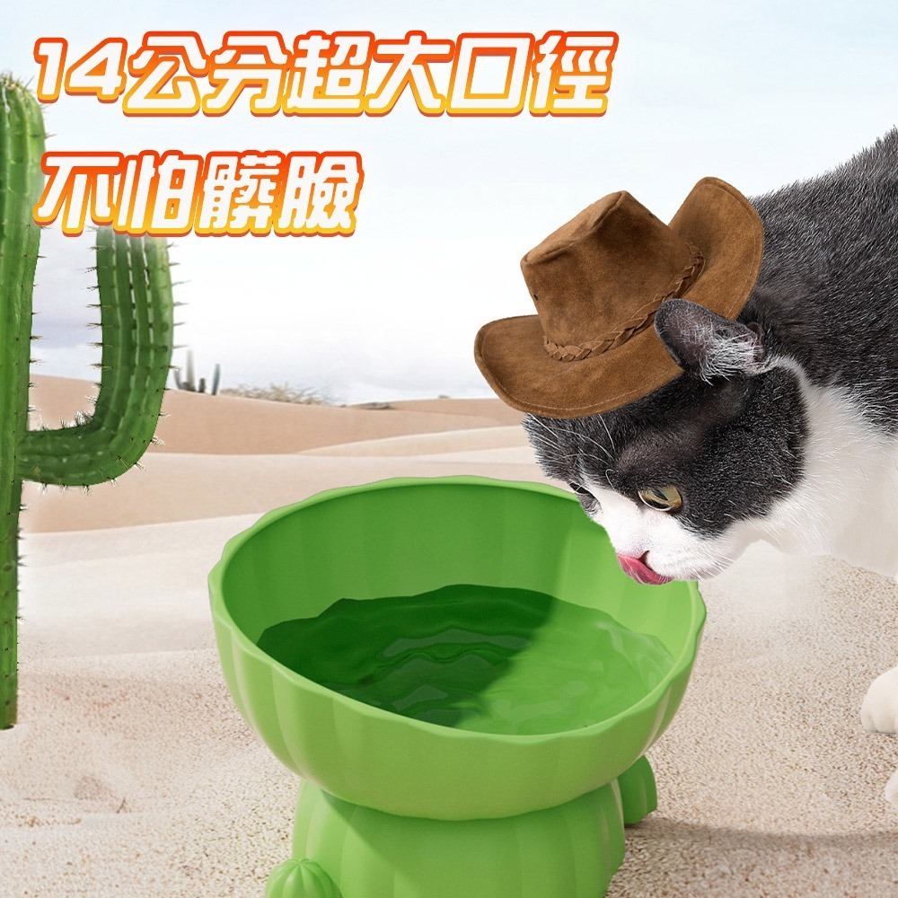 【仙人掌塑料護頸碗】寵物碗 寵物水碗 飼料碗 碗 狗碗 護頸碗 貓咪碗 貓水碗 貓咪水碗 狗狗碗 狗水碗 貓碗 防螞蟻-細節圖3