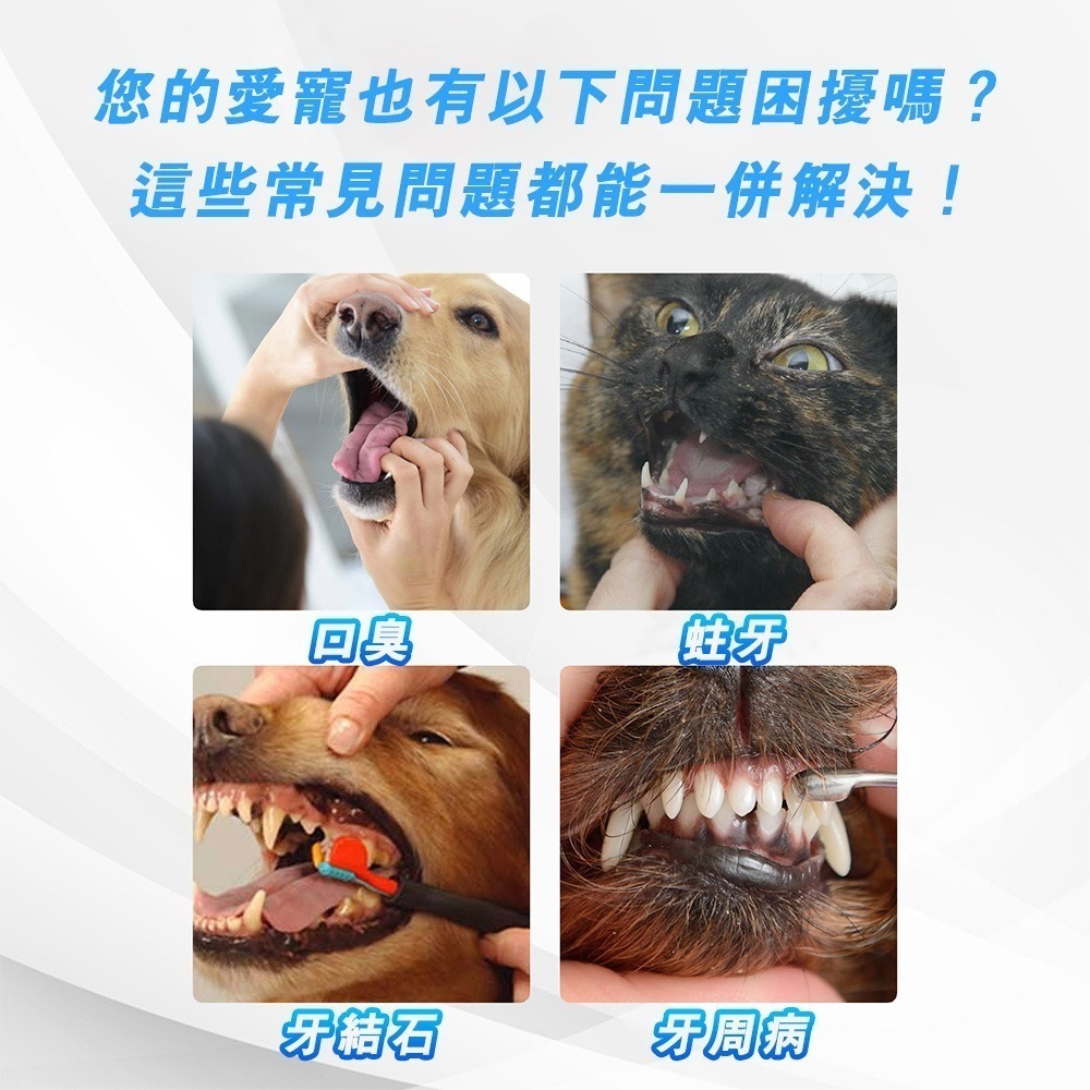 【限時購】寵物牙膏 狗狗牙膏 貓咪牙膏 狗牙膏 狗牙膏-細節圖3