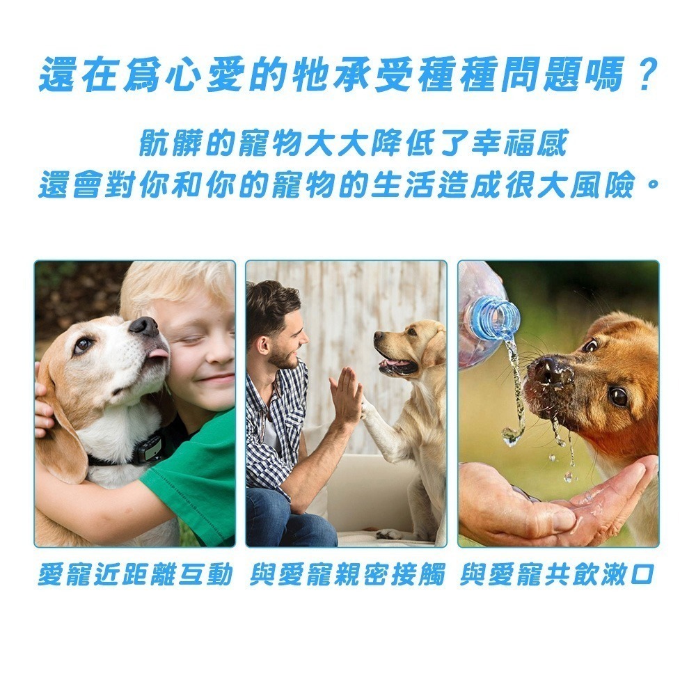 【限時購】寵物牙膏 狗狗牙膏 貓咪牙膏 狗牙膏 狗牙膏-細節圖4