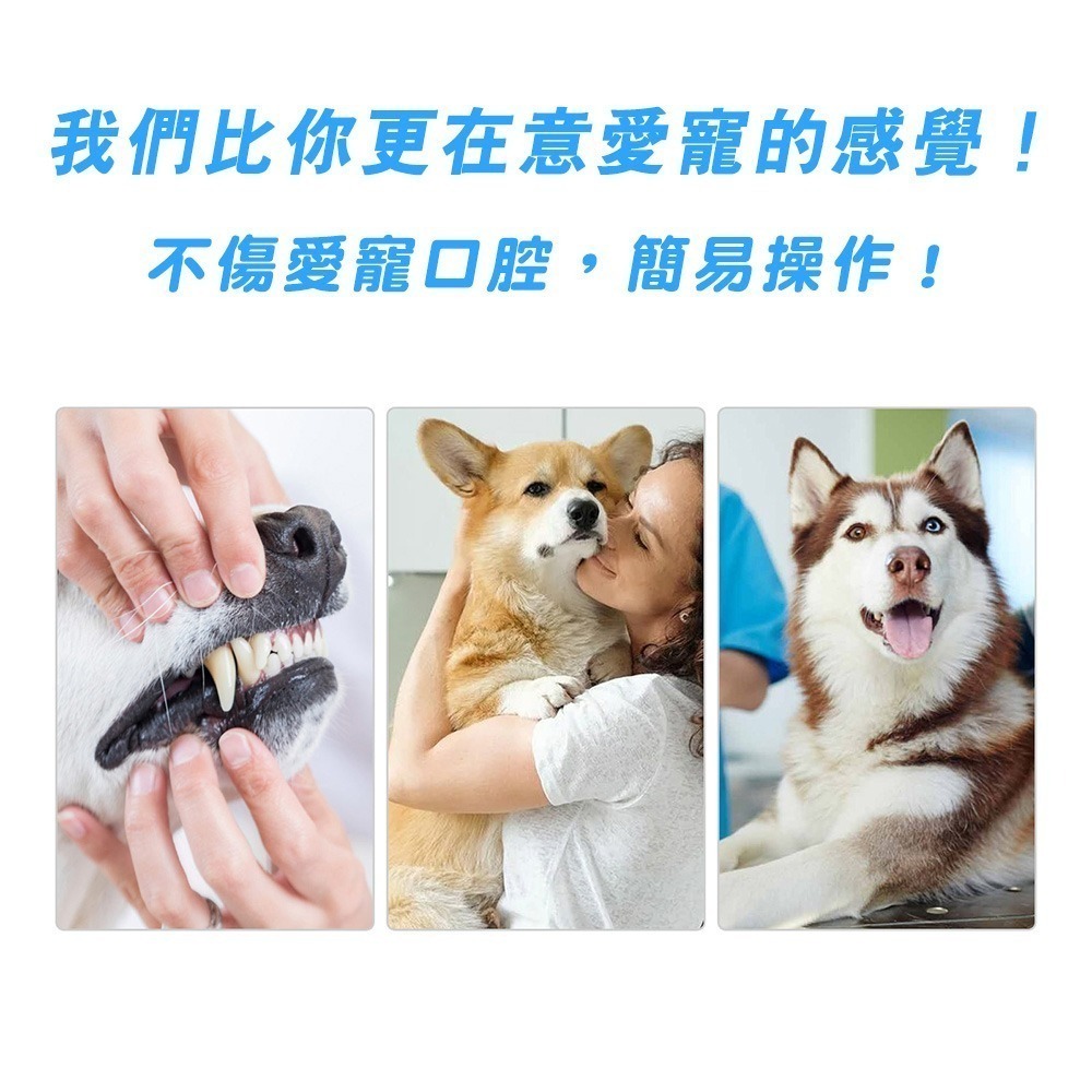 【限時購】寵物牙膏 狗狗牙膏 貓咪牙膏 狗牙膏 狗牙膏-細節圖5