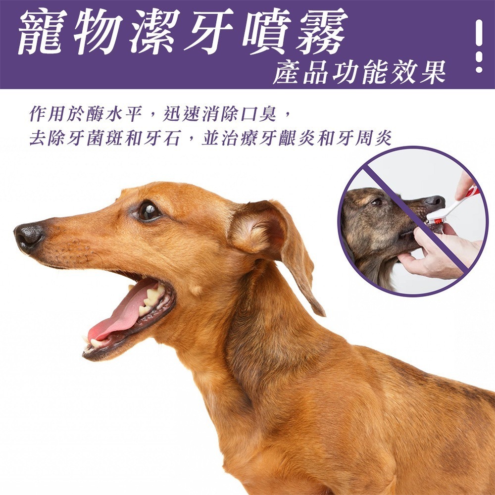 【7-ELEVEN 門市團購】寵物口腔噴霧 寵物口腔除臭噴霧 寵物潔牙噴霧 寵物潔牙-細節圖5