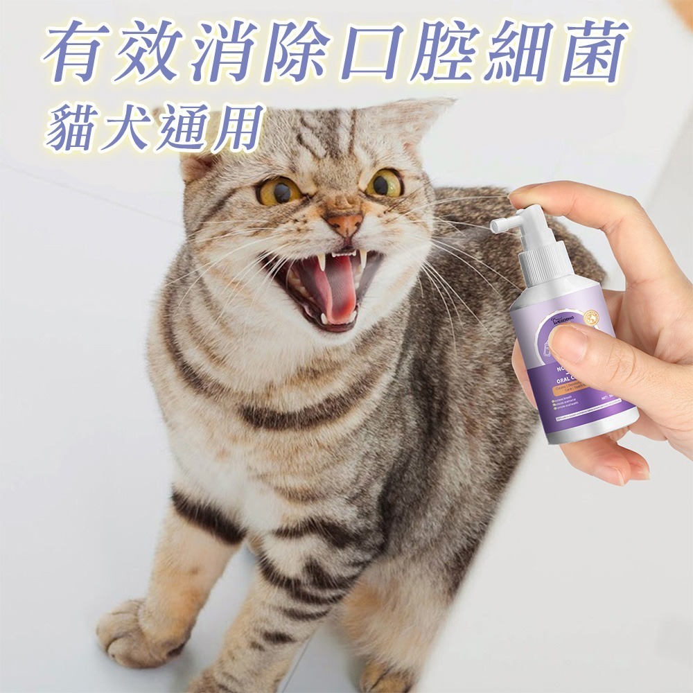 【7-ELEVEN 門市團購】寵物口腔噴霧 寵物口腔除臭噴霧 寵物潔牙噴霧 寵物潔牙-細節圖7