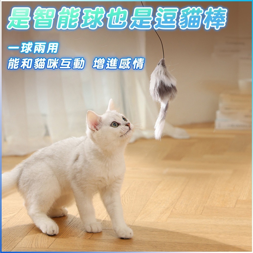 自動逗貓玩具 貓玩具 貓咪玩具 寵物玩具 逗貓神器 逗貓玩具 逗貓小貓玩具 逗貓 幼貓玩具 自動逗貓 逗貓棒 貓狗玩具-細節圖5