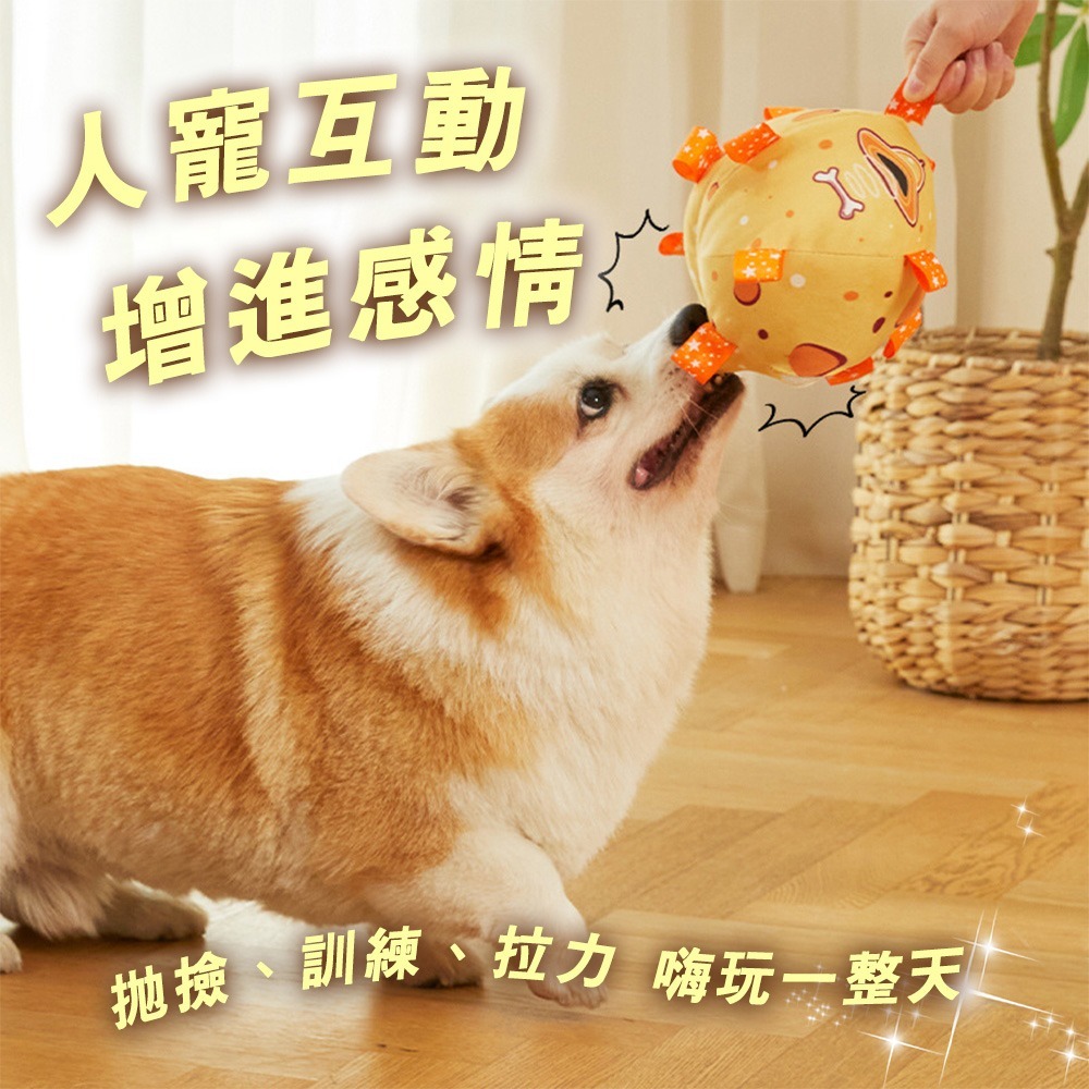 寵物響鈴玩具球 狗狗玩具球 狗玩具球  寵物玩具球 寵物球 狗玩具 狗狗玩具 狗玩具耐咬 狗狗玩具 寵物足球 狗足球-細節圖3