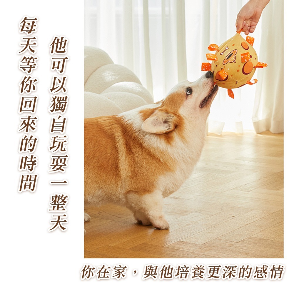 寵物響鈴玩具球 狗狗玩具球 狗玩具球  寵物玩具球 寵物球 狗玩具 狗狗玩具 狗玩具耐咬 狗狗玩具 寵物足球 狗足球-細節圖8